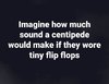 Centipede Flip Flops.jpeg