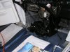 catstowaway6.jpg