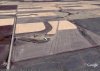 myfarm.jpg
