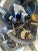 IMG_6315.jpeg