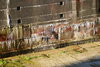 DSC05325.jpeg DSC05325.jpeg