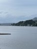 IMG_2051.jpeg
