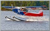AmphibFloatCub.jpg