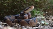 IMG_3693.jpeg