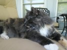 IMG_5047.jpeg