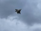 IMG_3507.jpeg