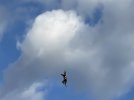 IMG_3509.jpeg