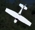 F4.jpg