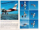 Aerobat 2.jpeg