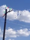 IMG_2585.jpg IMG_2585.jpg