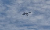 DSC_0070.jpg