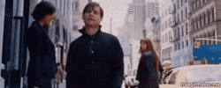 spidey.gif