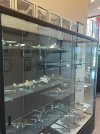 IMG_4890.jpeg