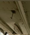 IMG_5034.jpeg
