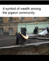 1696691846143.png 1696691846143.png