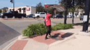 sign-flip.gif