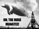 Huge Manatee.png