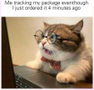 1701211029663.png