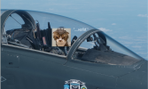 1704248745387.png