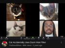 1000000253.png 1000000253.png