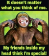 1704444203460.png 1704444203460.png