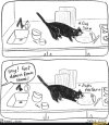 faster.jpg