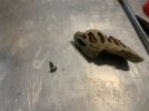 IMG_3864.jpeg