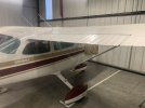 IMG_3901.jpeg