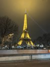 IMG_0499.jpeg