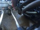 IMG_1970.jpeg IMG_1970.jpeg
