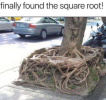 1706210352636.png