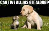 1706384941499.png