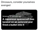 1706601017812.png