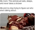 1706612267757.png