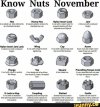 know nut november.jpg
