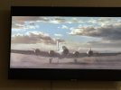 IMG_0635.jpeg