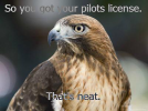 IMG_5823.png