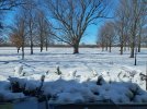 IMG_20240217_112243374.jpg