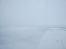 IMG_20240305_153141658.jpg