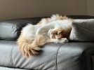 IMG_1479.jpeg