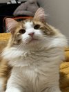 IMG_9570.jpeg