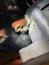 IMG_5390.jpeg