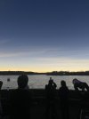 IMG_0271.jpeg