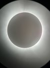 IMG_0308.jpeg