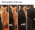 1712620071258.png
