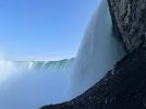 IMG_4381.jpeg
