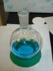 DSCN0149.JPG