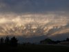 Mammatus (1).JPG