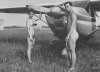 Prop Safety.jpg