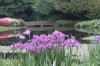 2009_Tokyo_0175_reduced.jpg